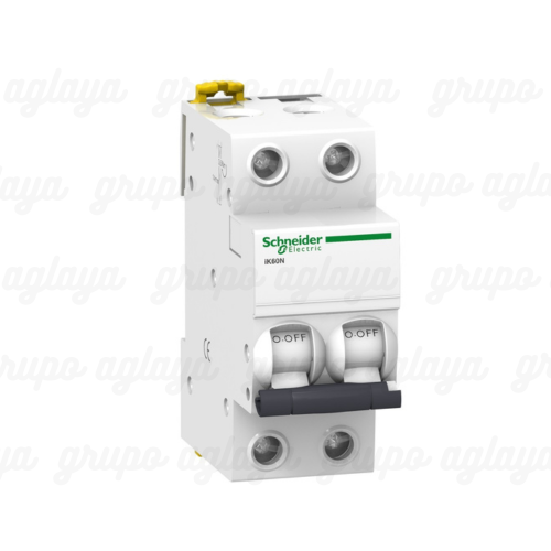 INTERRUPTOR TERMOMAGNÉTICO P/RIEL 2P 25A A9K24225